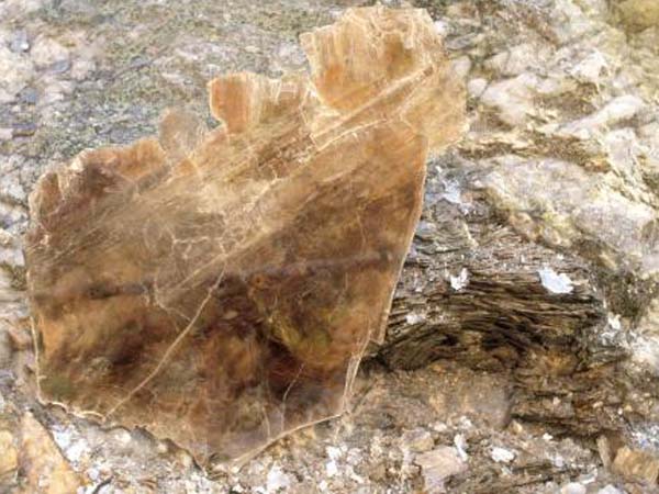 云母含鐵愈高時，顏色愈深，同時多色性和吸收性增強(qiáng)